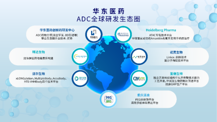 華東醫(yī)藥Heidelberg Pharma股權投資交易全部完成,加速布局ADC藍海賽道